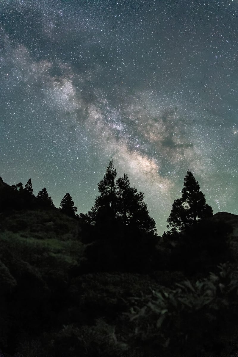 Moonlit night sky